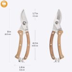 BUGUI Bypass Garden Pruning Shears - Premium SK-5 Steel Blade, Professional Garden Shears, Sharp Garden Scissors for Cutting Live Flowers, Trimming Plants, Light Branches, 8" - Image 2