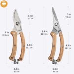 BUGUI 8” Wood Handle Garden Scissors, Set of 2, Includes Bypass Pruning Shears and Long Straight Tip Clippers, Premium Gardening Tools with Precision-Ground SK-5 Steel Blade - Image 2