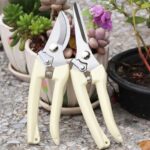 BUGUI Garden Shears Set of 2, Includes 1 Bypass Pruning Shears and 1 Straight Blade Garden Scissors, Sharp, Lightweight - Image 4