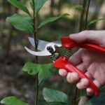 7" Small Pruning Shears Garden Shears - Premium Alloy Steel Bypass Pruner, Precision-ground Blades, Heavy Duty Gardening Tools, Red - Image 4