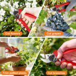 Ainiv Bypass Garden Shears, Garden Shears for Plants, Heavy Hand Uin Shears, Non-slip PVC Coated Handles, Lightweight and Ergonomic, Garden Shears for Plants, Hedges and Flowers - Image 8