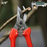 7" Small Pruning Shears Garden Shears - Premium Alloy Steel Bypass Pruner, Precision-ground Blades, Heavy Duty Gardening Tools, Red - Image 3