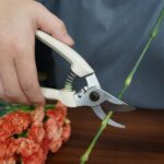 Premium Pruning Shears Garden Shears - Precision-ground Alloy Steel Blade, 7-inch 7-ounce, 3/4" Cutting Capacity, Ideal Garden Scissors for Garden Cutting Jobs - Image 5