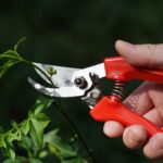 7" Small Pruning Shears Garden Shears - Premium Alloy Steel Bypass Pruner, Precision-ground Blades, Heavy Duty Gardening Tools, Red - Image 7
