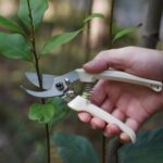 Premium Pruning Shears Garden Shears - Precision-ground Alloy Steel Blade, 7-inch 7-ounce, 3/4" Cutting Capacity, Ideal Garden Scissors for Garden Cutting Jobs - Image 4