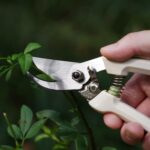 Premium Pruning Shears Garden Shears - Precision-ground Alloy Steel Blade, 7-inch 7-ounce, 3/4" Cutting Capacity, Ideal Garden Scissors for Garden Cutting Jobs - Image 7