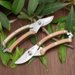 BUGUI Bypass Garden Pruning Shears - Premium SK-5 Steel Blade, Professional Garden Shears, Sharp Garden Scissors for Cutting Live Flowers, Trimming Plants, Light Branches, 8" - Image 6