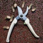 Premium Pruning Shears Garden Shears - Precision-ground Alloy Steel Blade, 7-inch 7-ounce, 3/4" Cutting Capacity, Ideal Garden Scissors for Garden Cutting Jobs - Image 6