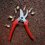 7" Small Pruning Shears Garden Shears - Premium Alloy Steel Bypass Pruner, Precision-ground Blades, Heavy Duty Gardening Tools, Red - Image 6
